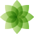 Natural 9