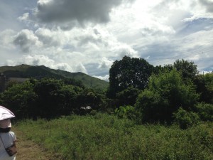 blog3